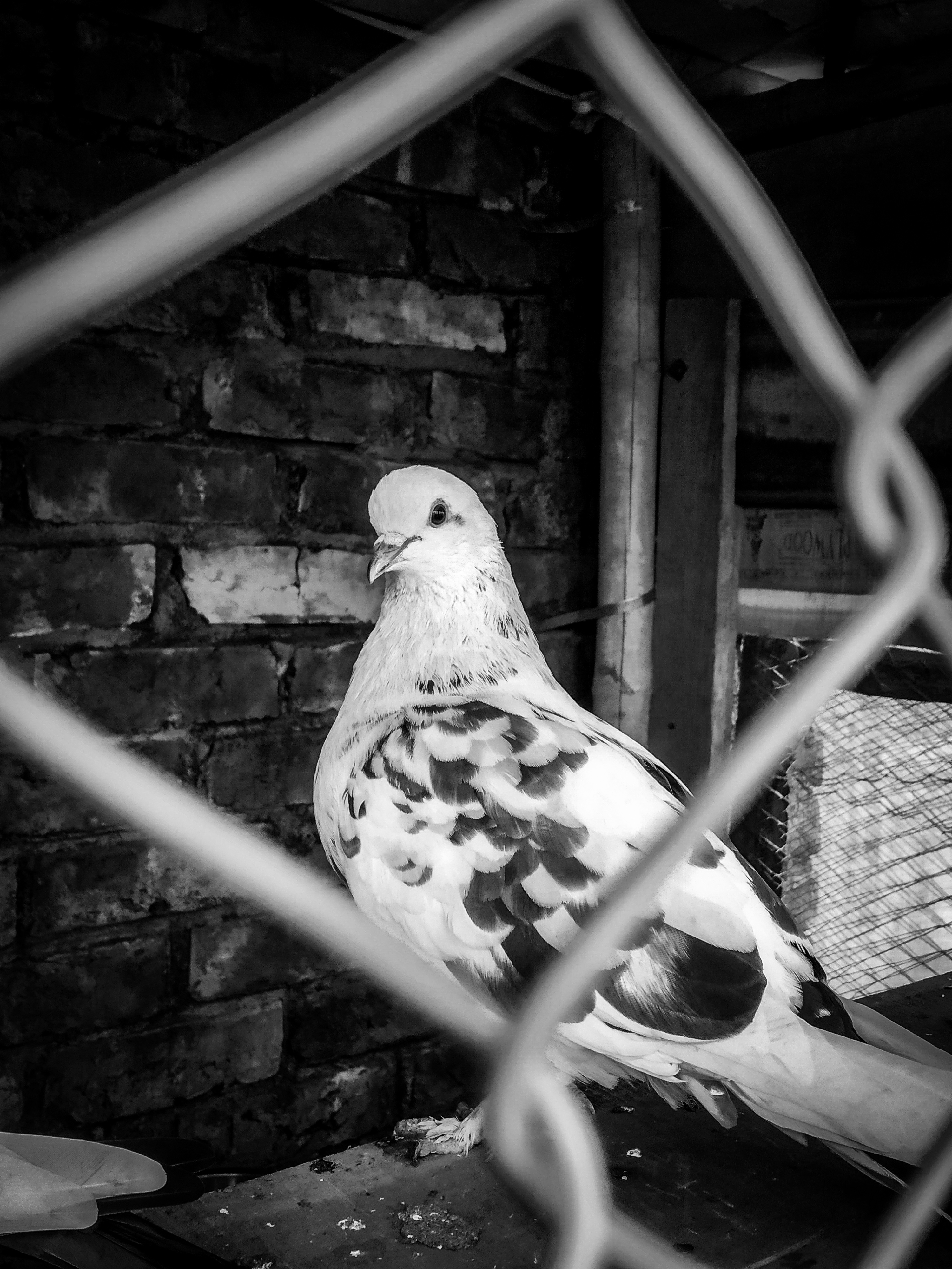 Sample photo 5